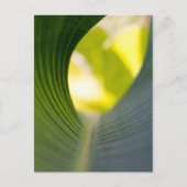 Grünes Blatt Postkarte (Vorderseite)