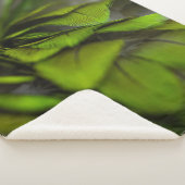 Grünes Blatt Sherpadecke (3/4)