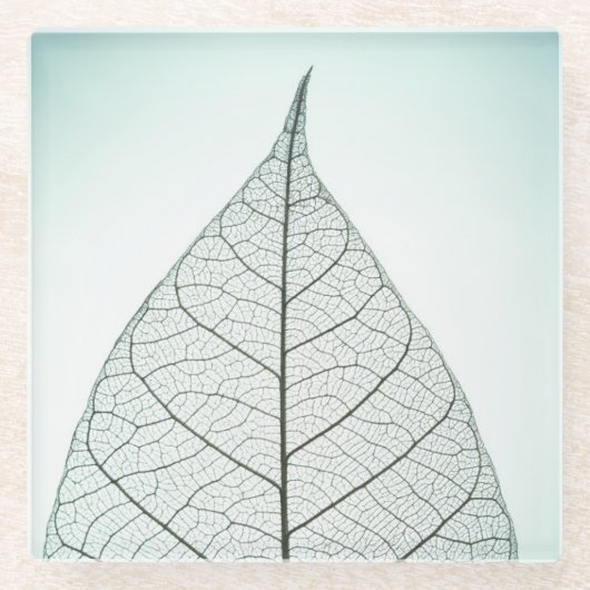 Grünes Blatt-Skelett Glasuntersetzer (Vorderseite)