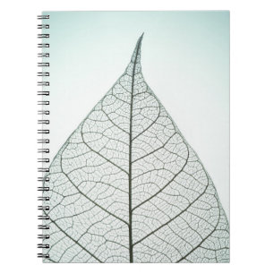 Grünes Blatt-Skelett Notizblock