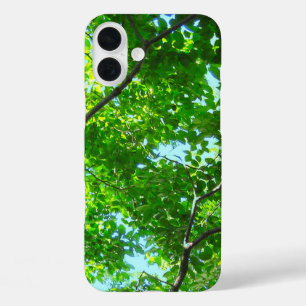 Grünes Blätterdach, Laubäste mit blauem Himmel iPhone 16 Plus Hülle
