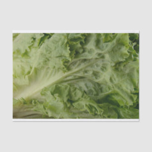 Grünes Blattkopfsalat-Seidenpapier Seidenpapier
