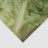 Grünes Blattkopfsalat-Seidenpapier Seidenpapier (Ausschnitt)