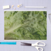 Grünes Blattkopfsalat-Seidenpapier Seidenpapier (Handwerk)