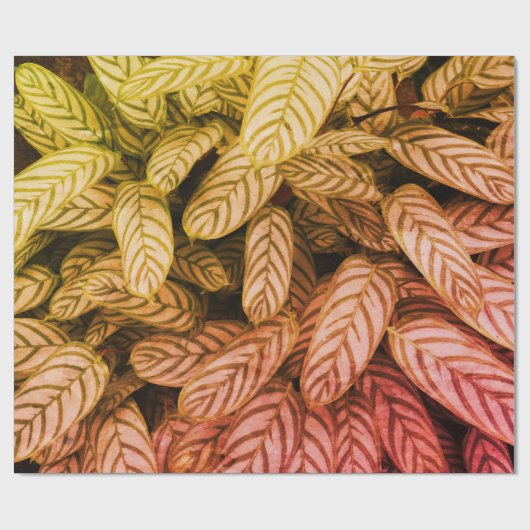Grünes botanisches Blattmuster-Wrap-Papier Geschenkpapier (Flach)