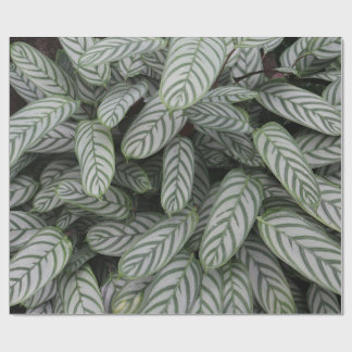 Grünes botanisches Blattmuster-Wrap-Papier Geschenkpapier