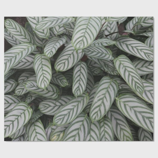 Grünes botanisches Blattmuster-Wrap-Papier Geschenkpapier (Flach)