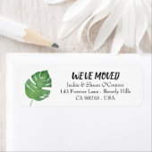 Grünes botanisches Leaf Wir bewegen neue Rückkehr (Insitu)