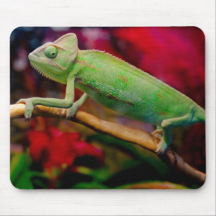 Grünes Chamäleon auf dem Ast Mousepad