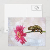 Grünes Chamäleon auf rosa Blume Postkarte (Vorne/Hinten)