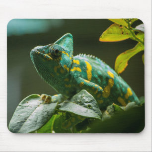Grünes Chamäleon-Mauspad Mousepad