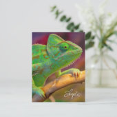 Grünes Chamäleon Postkarte (Stehend Vorderseite)