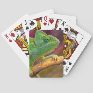 Grünes Chamäleon Spielkarten