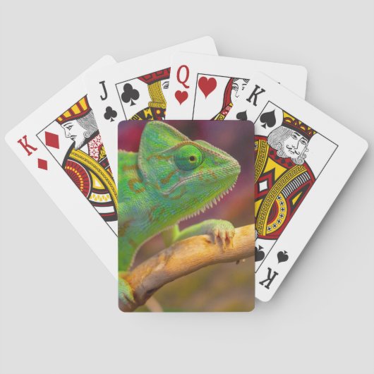 Grünes Chamäleon Spielkarten (Rückseite)