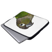Grünes Cheeked Conure Laptopschutzhülle (Vorne Knopf)