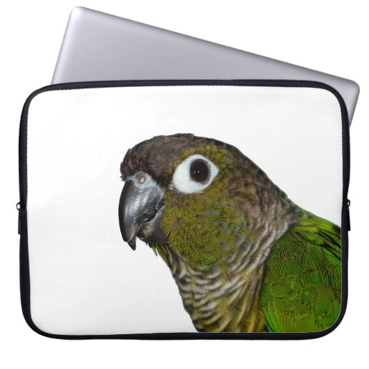 Grünes Cheeked Conure Laptopschutzhülle (Vorderseite)