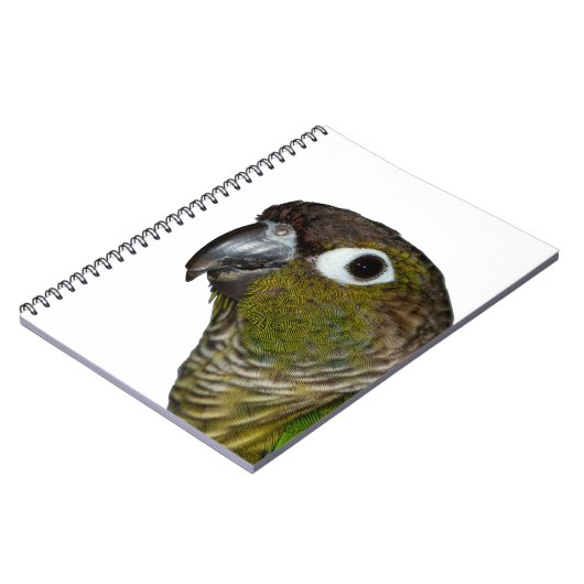 Grünes Cheeked Conure Notizblock (Linke Seite)