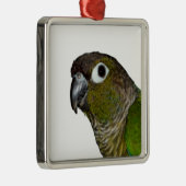 Grünes Cheeked Conure Silbernes Ornament (Rechts)