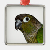 Grünes Cheeked Conure Silbernes Ornament (Vorne)