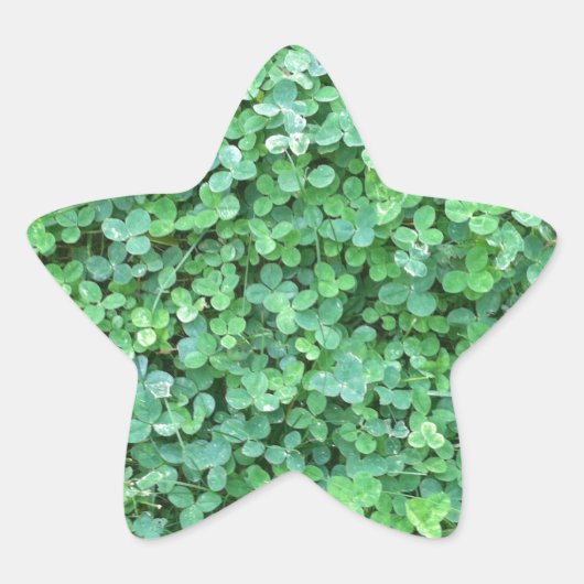 Grünes Clover Nature Foto Stern-Aufkleber (Vorderseite)