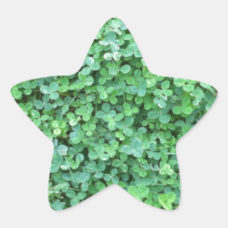 Grünes Clover Nature Foto Stern-Aufkleber