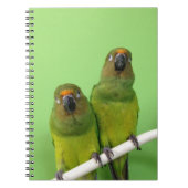 Grünes Conure Anmerkungs-Buch Notizblock (Vorderseite)