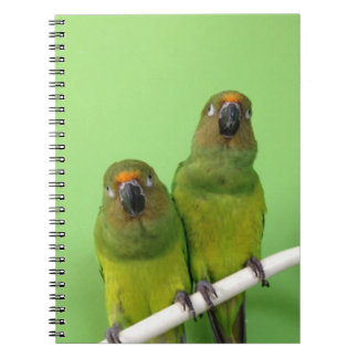 Grünes Conure Anmerkungs-Buch Notizblock