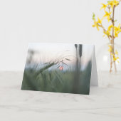 Grünes Cornfield Nature-Foto Karte (Gelbe Blume)