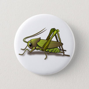 Grünes Cricket-Insekt Button