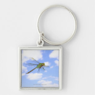 Grünes darner (Anax junius) Fliegen gegen Schlüsselanhänger