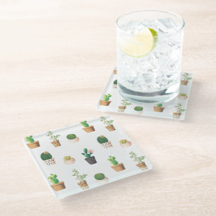 Grünes Dessert Sukkulente Kakteen in Pots Glasuntersetzer