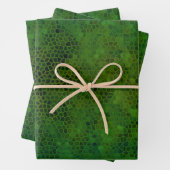 Grünes Dinosaurier Umhüllungspapier Set 3 Geschenkpapier Set (Beispiel)