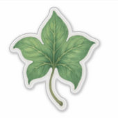Grünes Efeublatt Botanisch Aufkleber (Vorderseite)