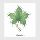 Grünes Efeublatt Botanisch Aufkleber (Blatt)