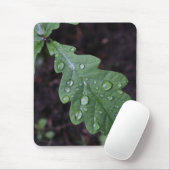 Grünes Eichenblatt im Regen Mousepad (Mit Mouse)