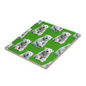Grünes Eisbär-Musterdesign Fliese (Seite)