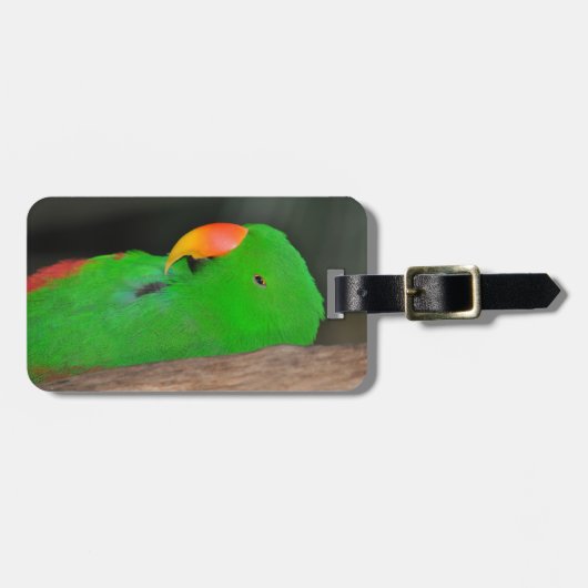 Grünes Eklektikgepäck Gepäckanhänger (Vorderseite horizontal)