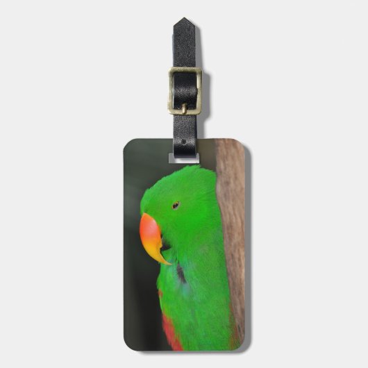 Grünes Eklektikgepäck Gepäckanhänger (Vorderseite vertikal)