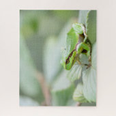 Grünes europäisches nahes hohes des Baumfrosches Puzzle (Vertikal)