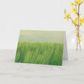 Grünes Feld Karte (Gelbe Blume)