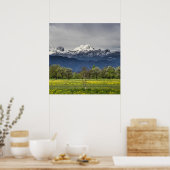 Grünes Feld mit schneebedeckten Alpen Poster (Küche)