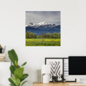 Grünes Feld mit schneebedeckten Alpen Poster (Heimbüro)