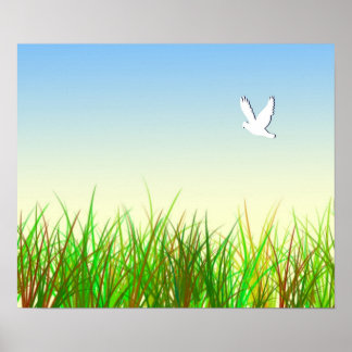 Grünes Feld mit weißer Taube Poster