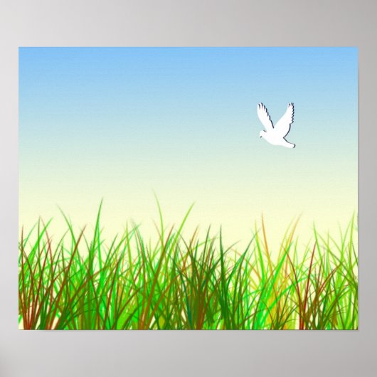 Grünes Feld mit weißer Taube Poster (Vorne)