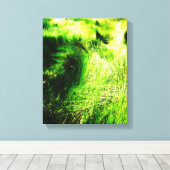 Grünes Feld - ummantelte Canvas Leinwanddruck (Insitu (Holzboden))