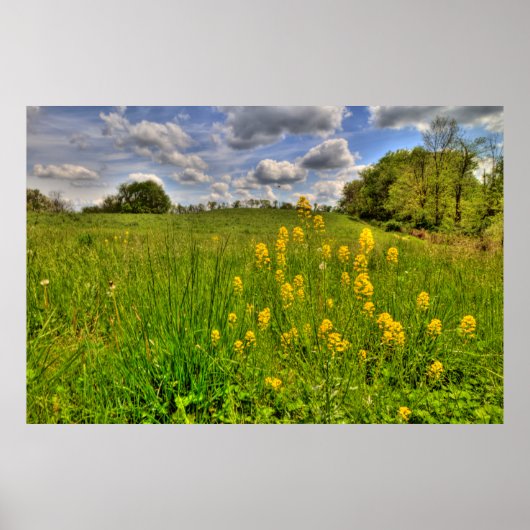 Grünes Feld und bewölkter blauer Himmel Poster (Vorne)