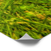 Grünes Feld und bewölkter blauer Himmel Poster (Ecke)