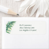 Grünes Fern (Insitu)