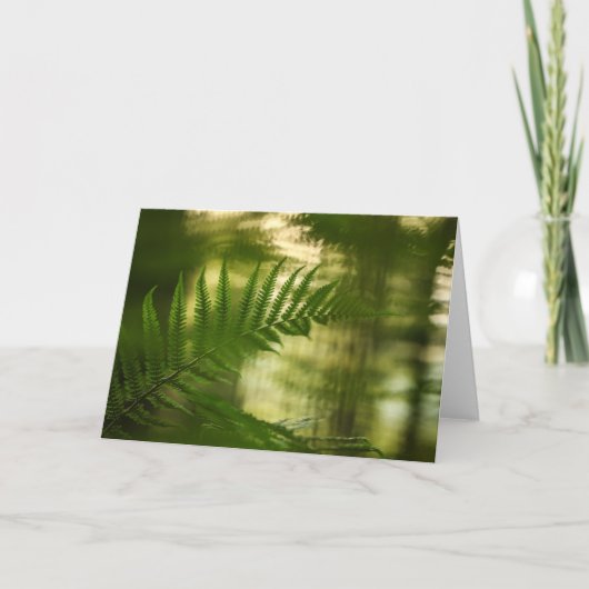 Grünes Fern Frond Nature Foto Karte (Vorderseite)