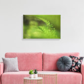 Grünes Fern Frond Nature Foto Leinwanddruck (Insitu (Wohnzimmer))